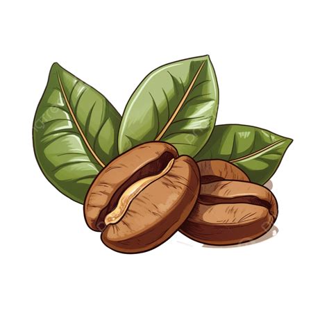 coffee bean clipart|coffee clip art transparent.